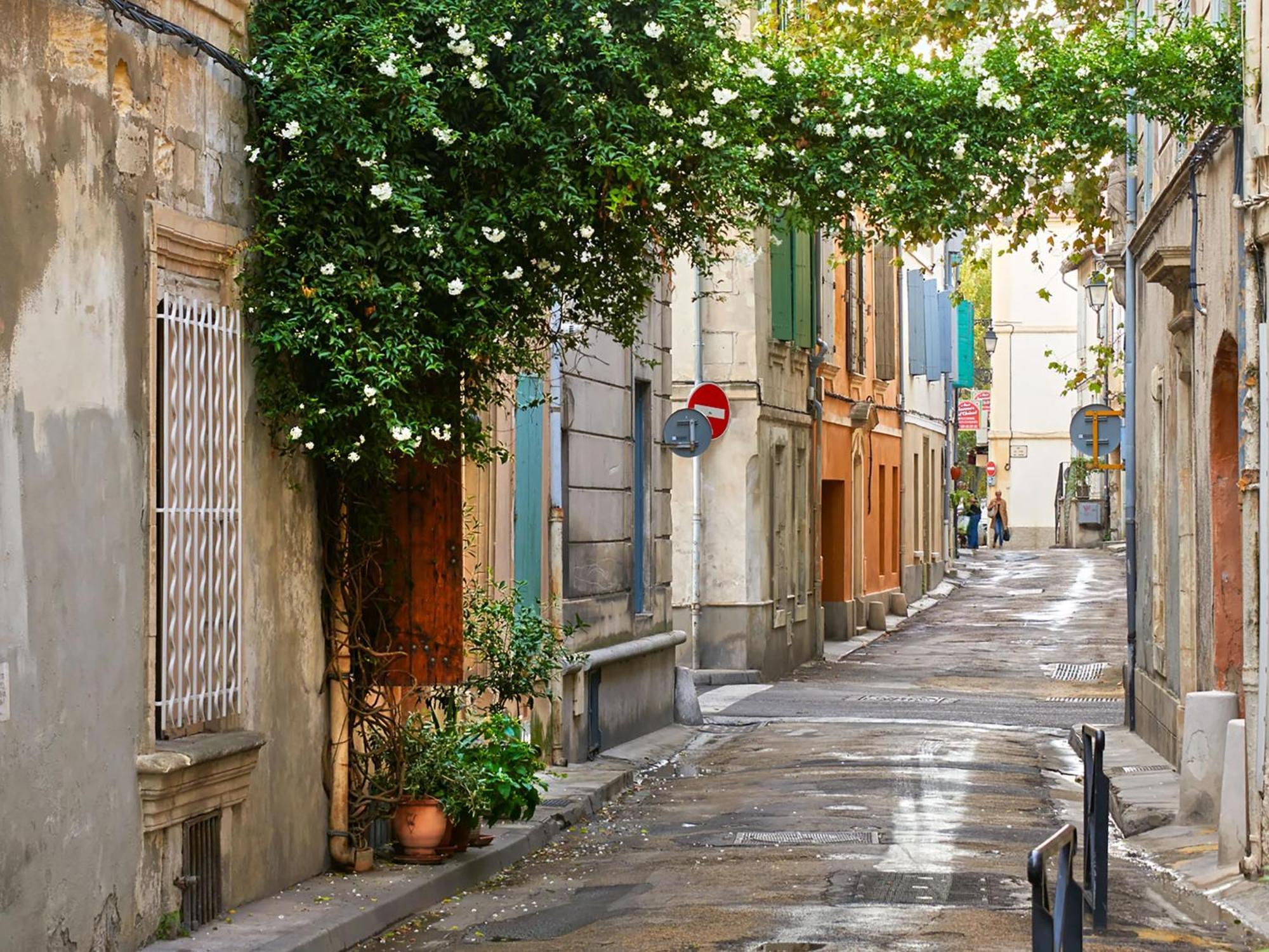Hebergements Modernes & Cosy A Arles T3 Et T2 Elegants Exterior photo